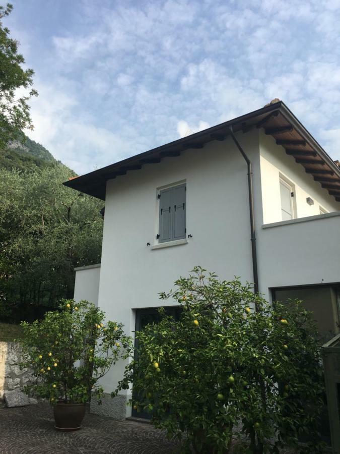 Millys Riva Apartments Zewnętrze zdjęcie